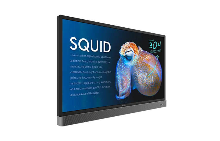 BenQ RP553K – slika 2