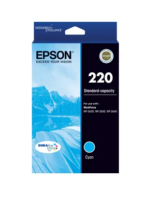 Epson C13T293292 ink cartridge