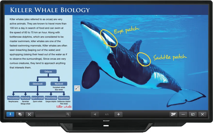 Sharp PN-80TC3 interactive whiteboard – slika 7