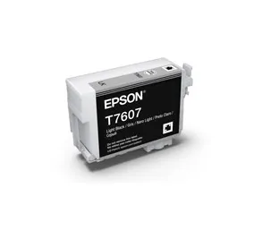 Epson C13T760700 ink cartridge