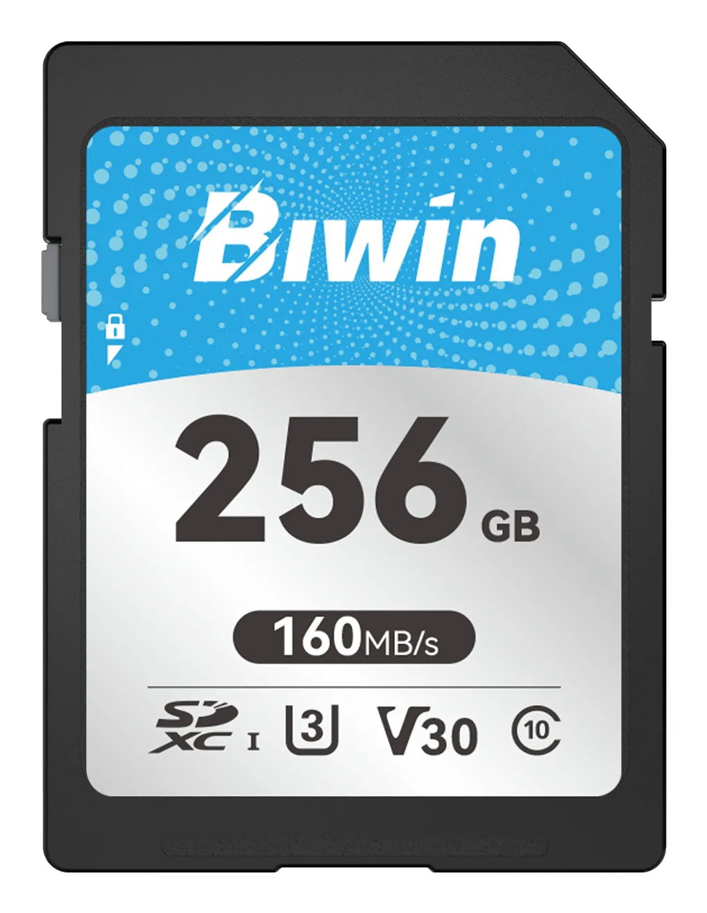 Biwin BMSD160256G-RGX memory card