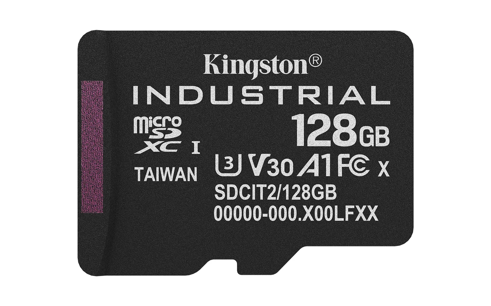 Kingston Technology Industrial – slika 2