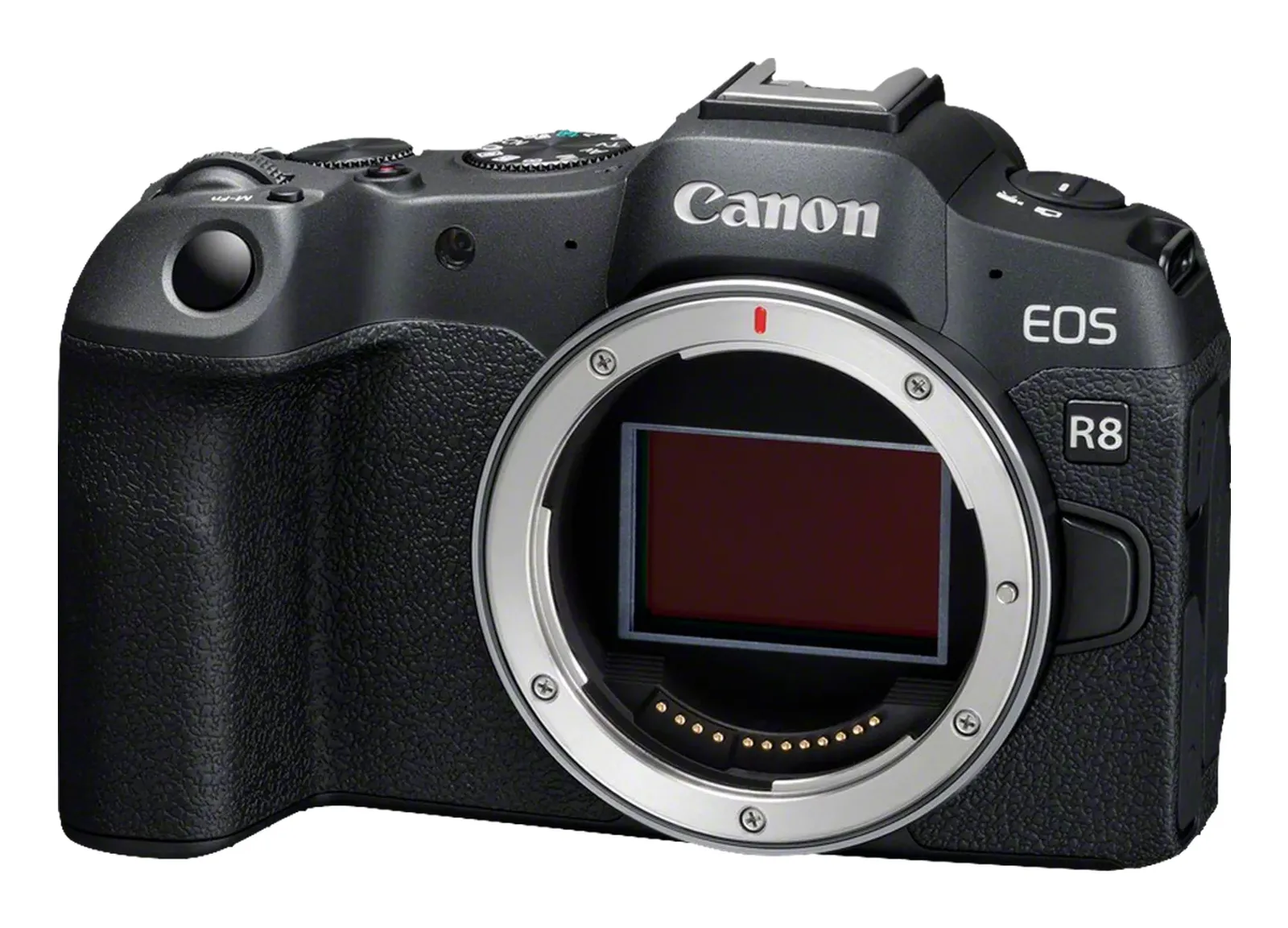 Canon EOS R8 + RF 24-105mm F4-7.1 IS STM – slika 7