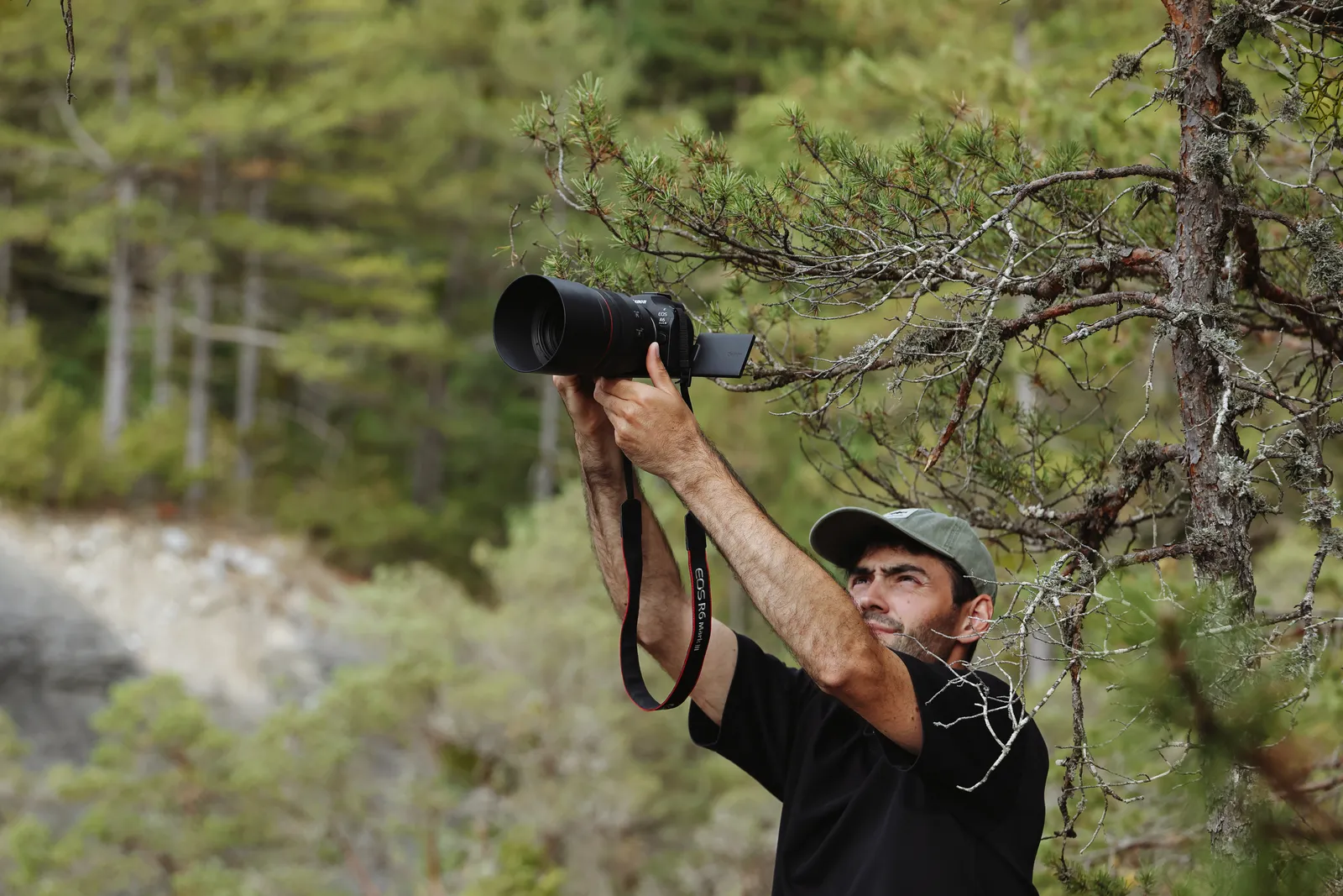 Canon EOS R6 Mark III + RF 24-105mm F4-7.1 IS STM – slika 7