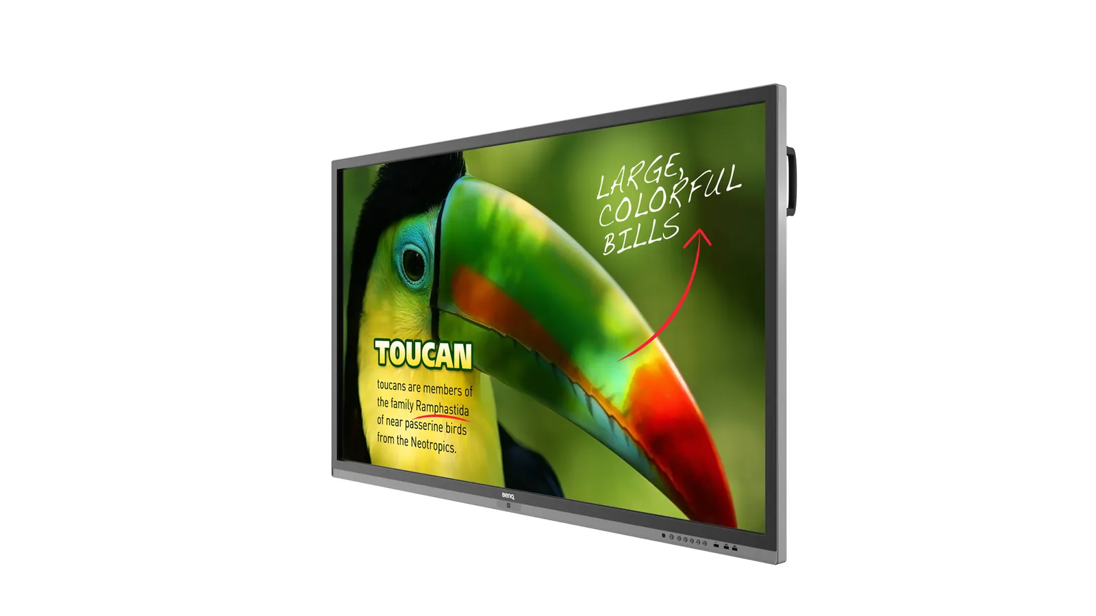 BenQ RP653 interactive whiteboard – slika 4