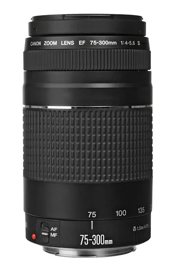 Canon EOS Rebel T6i EF-S EF 75-300mm f/4.0-5.6 III – slika 5