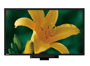 BenQ RP650 interactive whiteboard