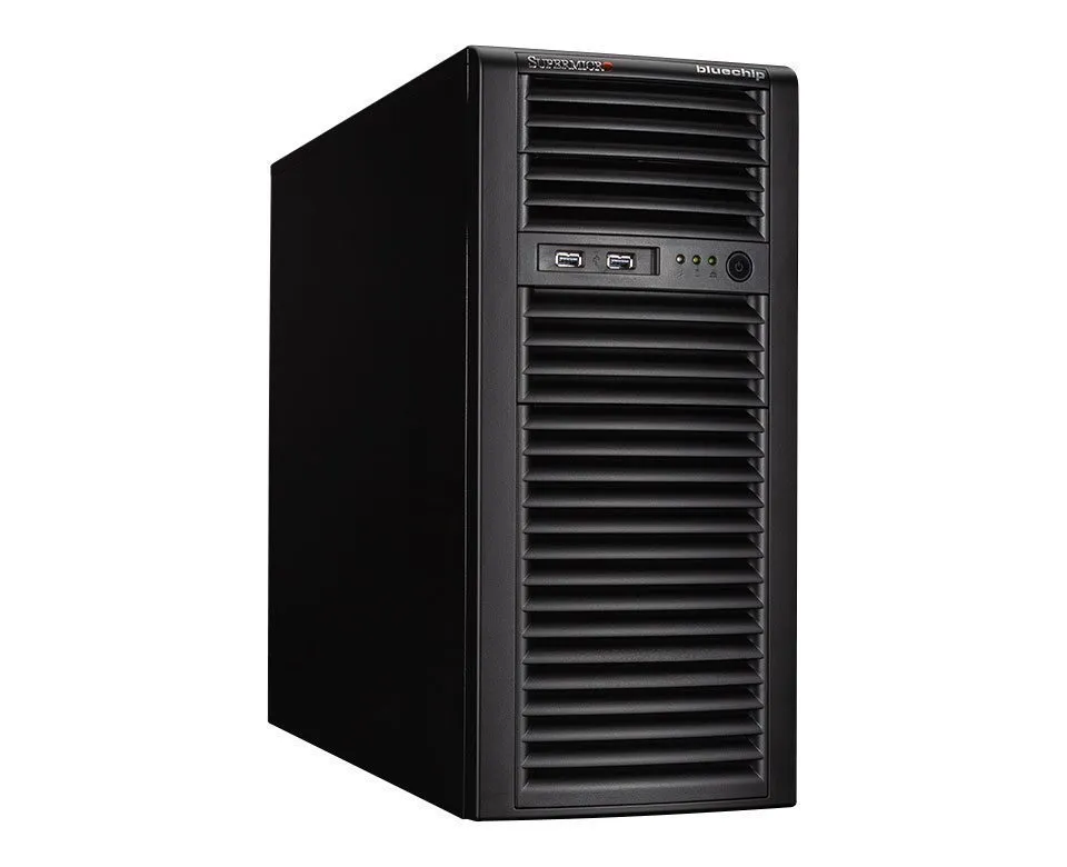 bluechip SERVERline T30340s server
