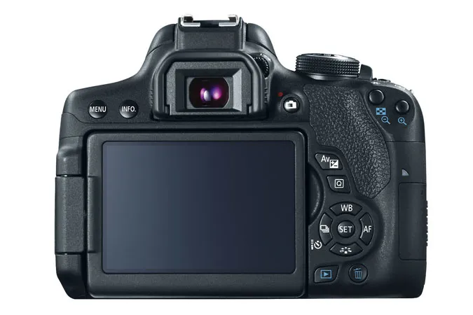 Canon EOS Rebel T6i + EF-S 18-55mm f/3.5-5.6 IS STM + EF-S 55-250mm f/4-5.6 IS II