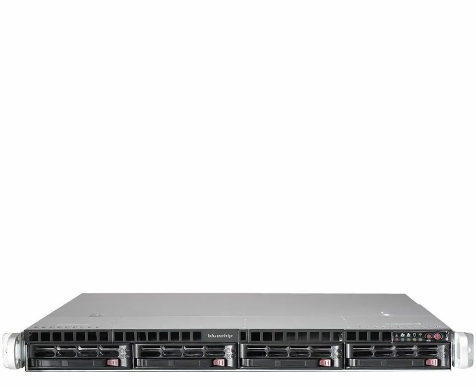 bluechip SERVERline R31308s server
