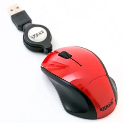iggual PSI09193 mouse