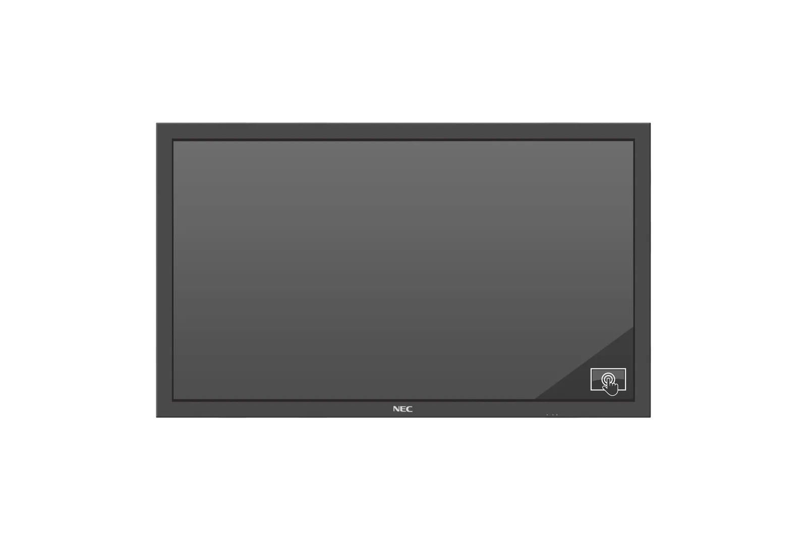 NEC MultiSync P484 SST