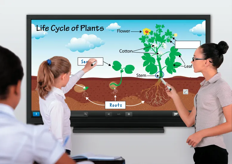 Sharp PN-70SC3 interactive whiteboard – slika 2