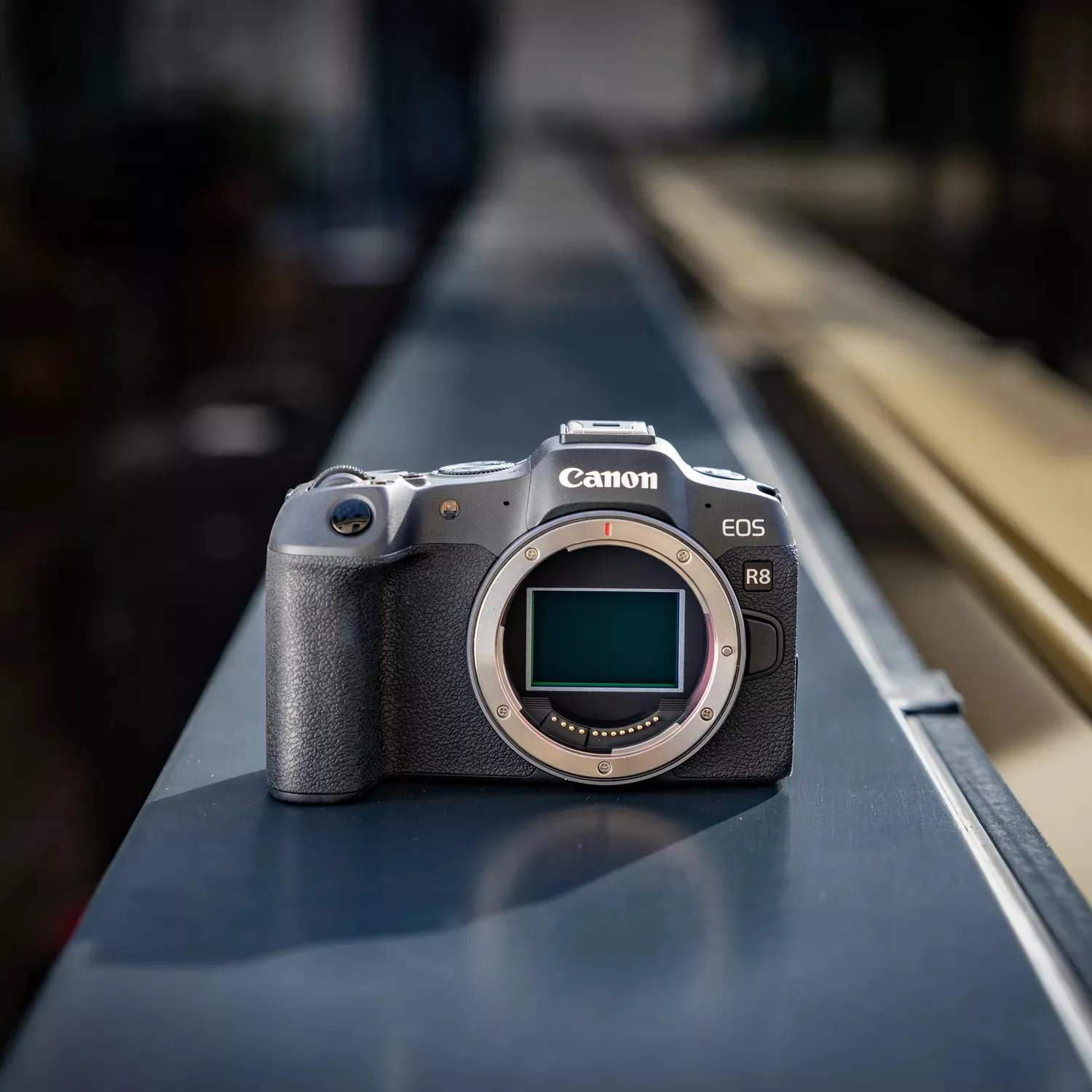 Canon EOS R8 + RF 24-105mm F4-7.1 IS STM – slika 9