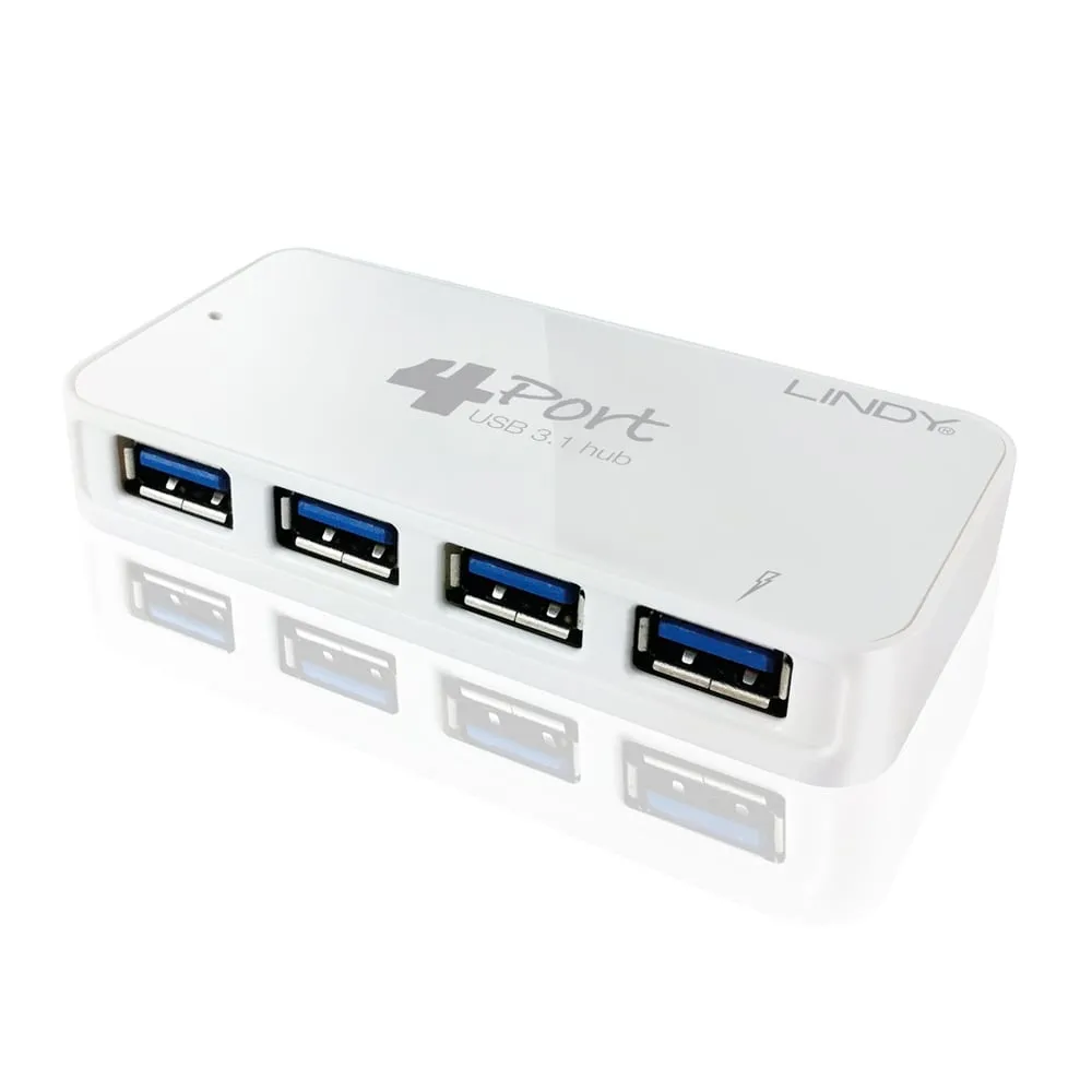 Lindy 43169 interface hub