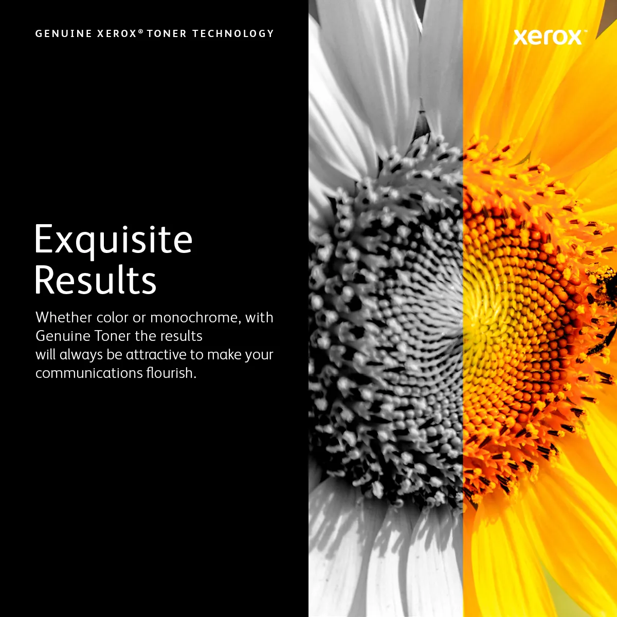 Xerox 101R00555 toner cartridge – slika 7