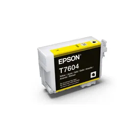 Epson C13T760400 ink cartridge