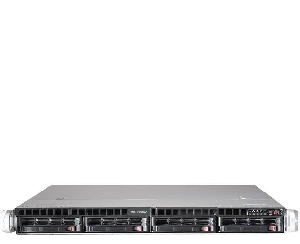 bluechip SERVERline R31309s server
