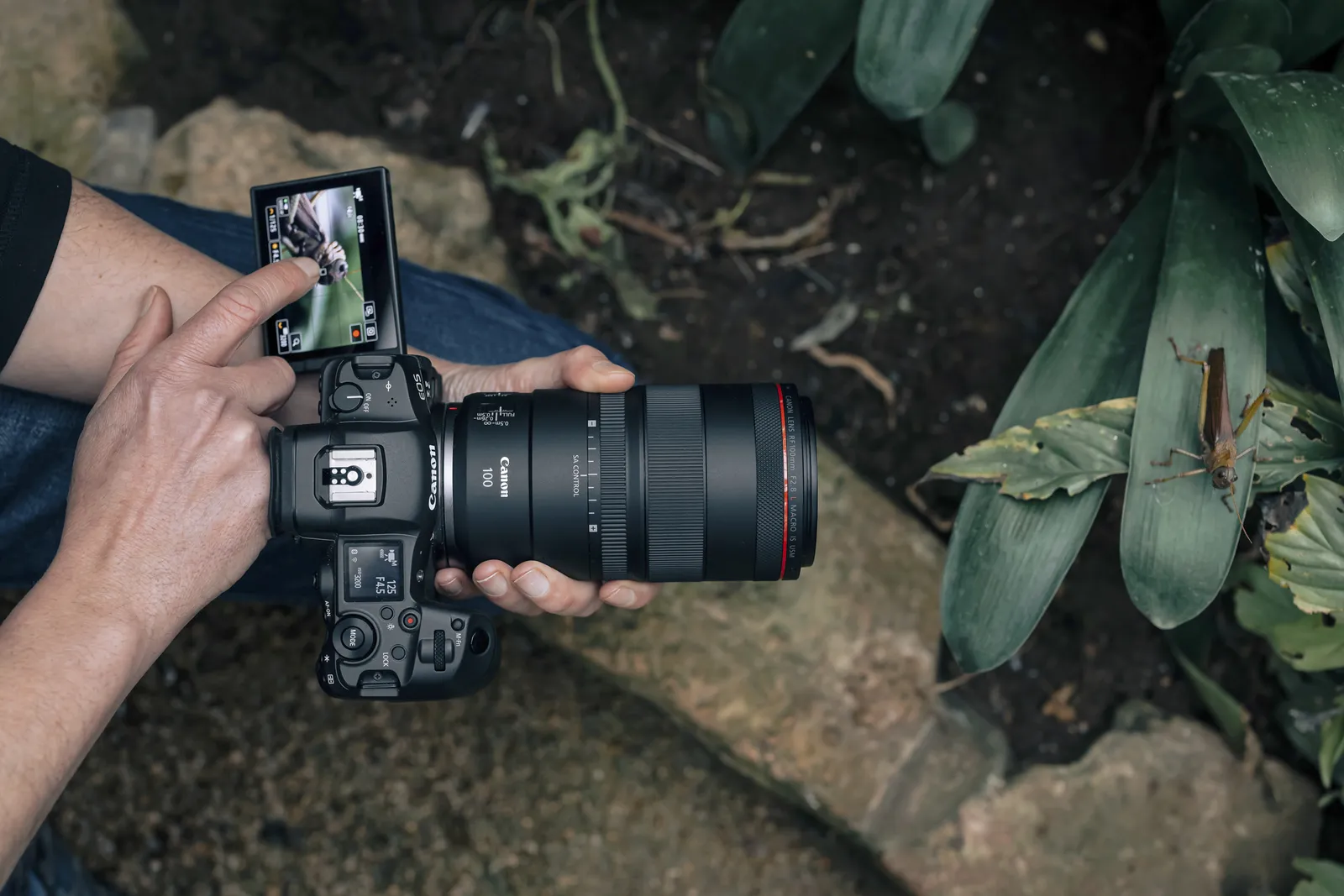 Canon RF 100 mm f2.8L Macro IS USM – slika 2