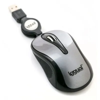 iggual PSI09179 mouse