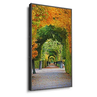 NEC MultiSync X554HB – slika 5