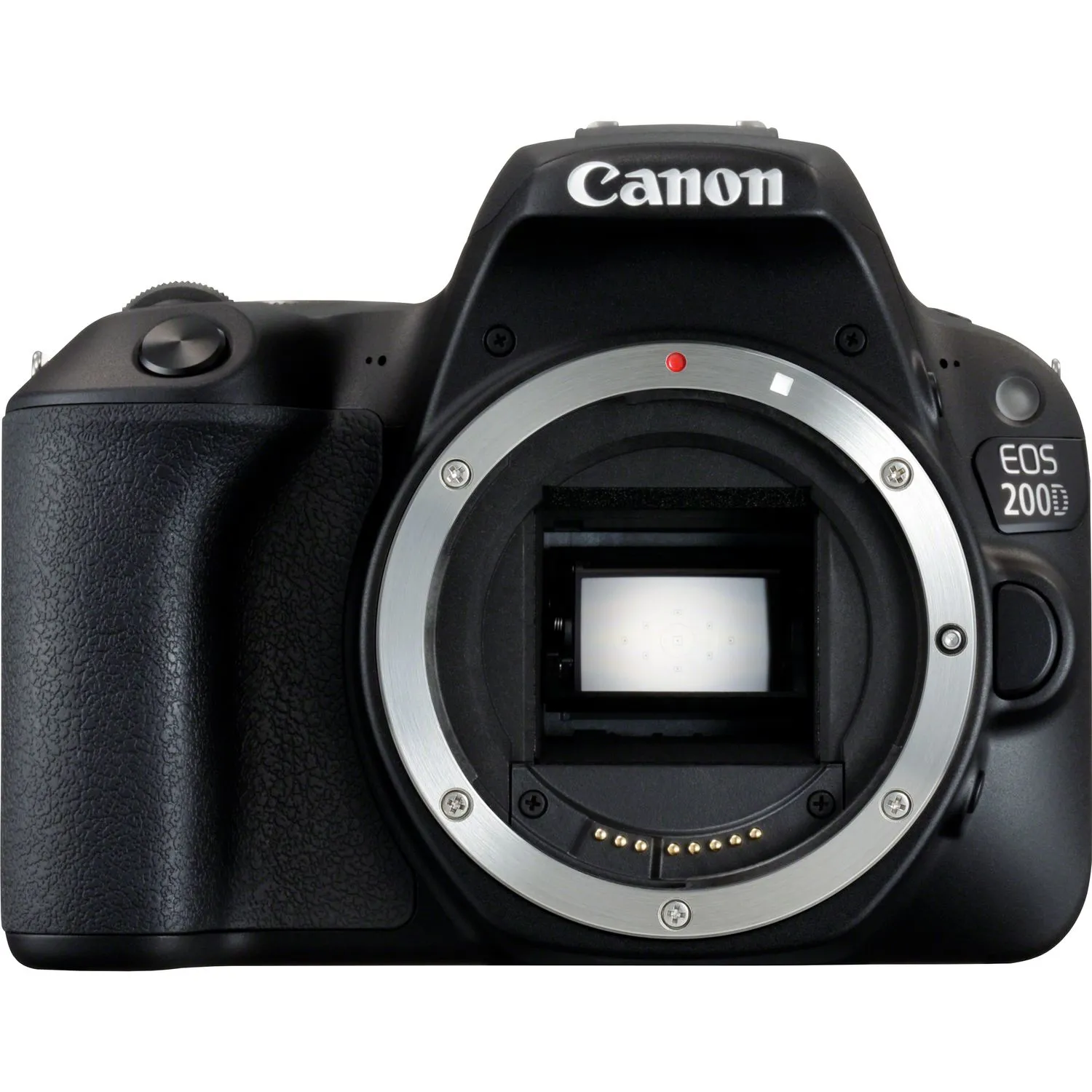 Canon EOS 200D + 18-55 DC III + 100EG + SD 16GB