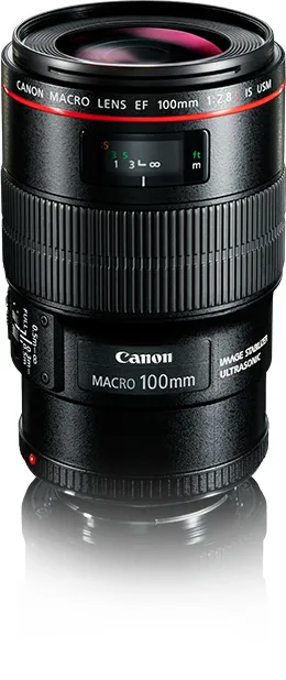 Canon EF 100mm f/2.8L IS USM Macro