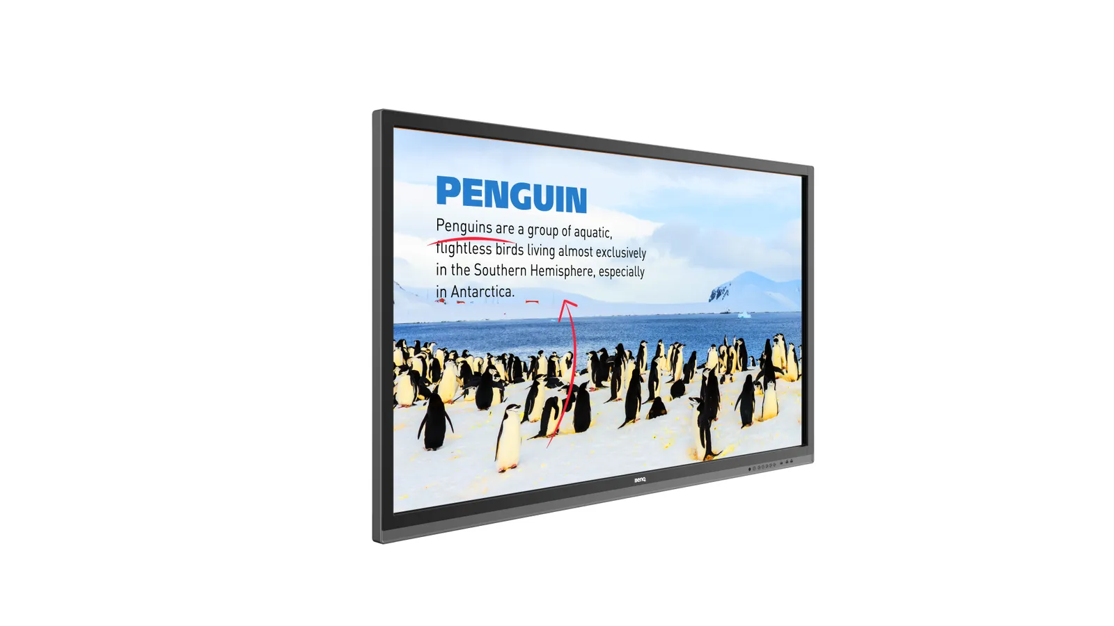 BenQ RP552H interactive whiteboard – slika 3