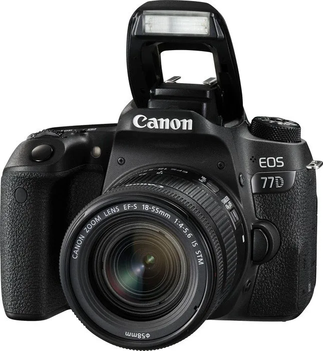 Canon EOS 77D + 18-55mm F4.0-5.6 IS STM