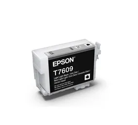 Epson C13T760900 ink cartridge