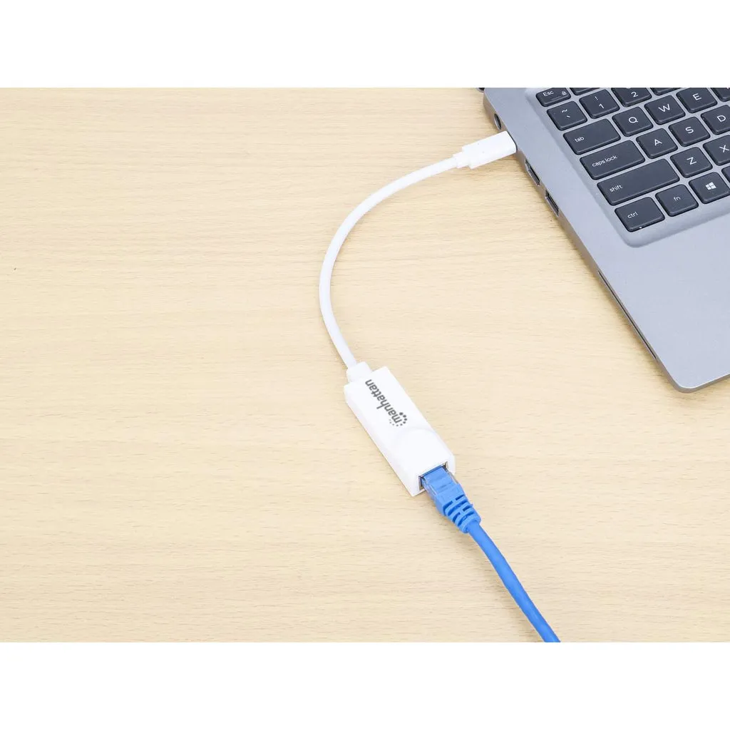 Manhattan 507585 network card – slika 5
