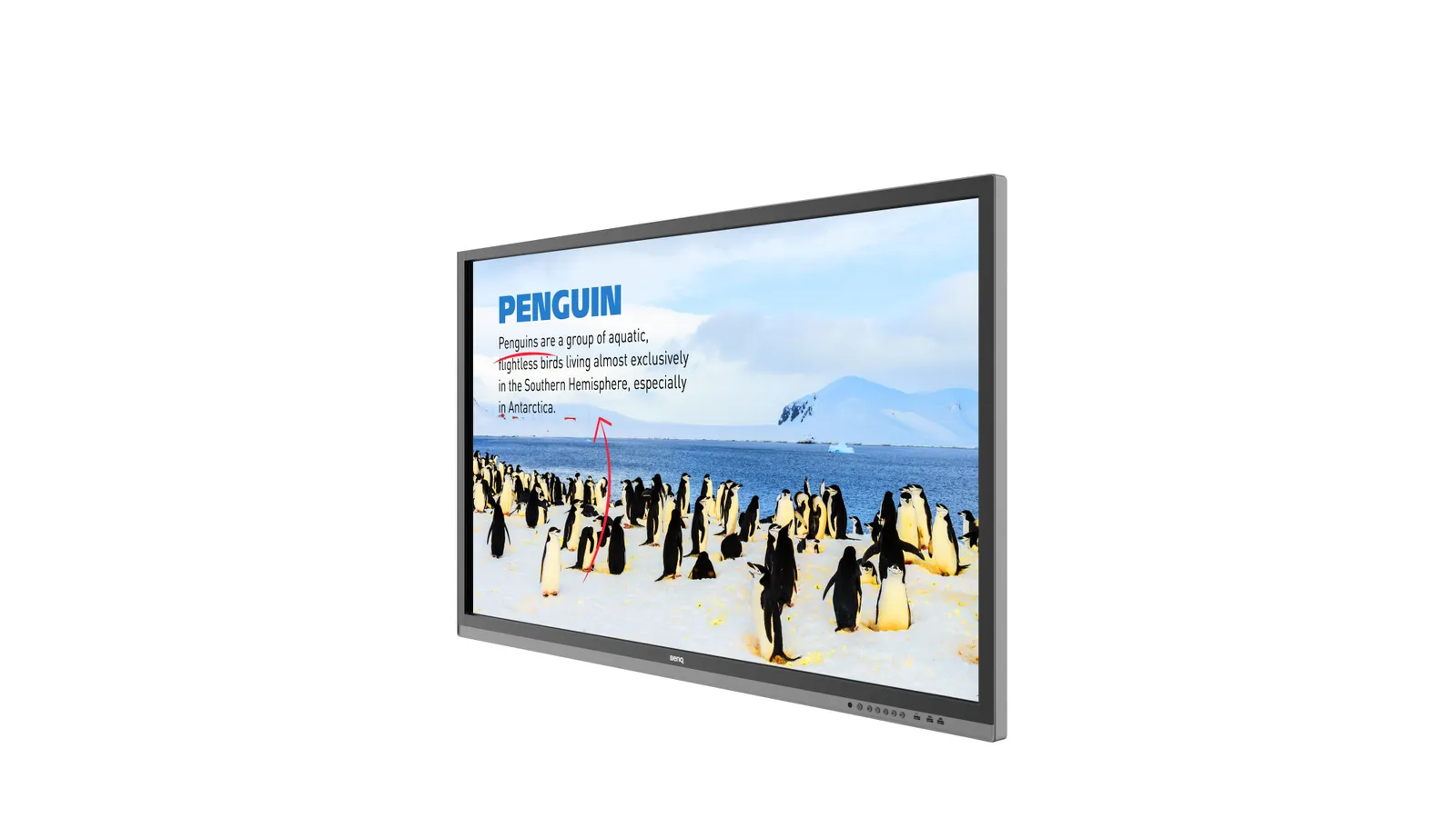 BenQ RP552H interactive whiteboard – slika 2