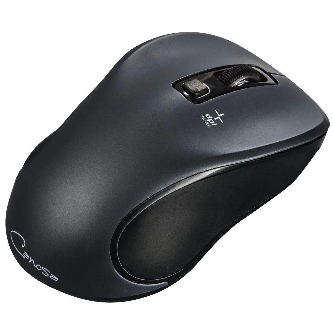 Hama Canosa mouse