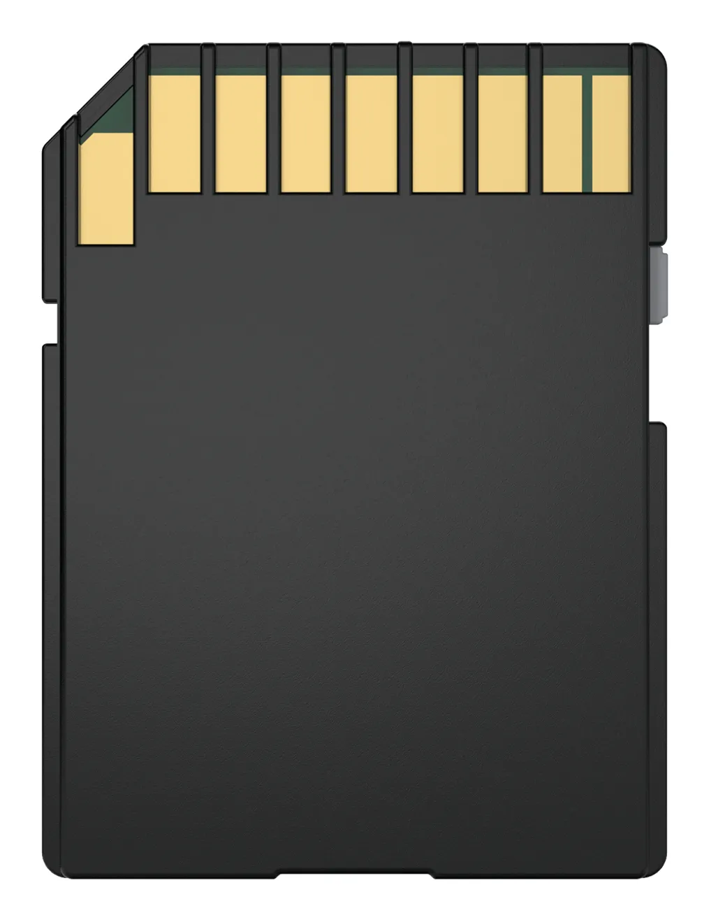 Biwin BMSD160256G-RGX memory card – slika 5
