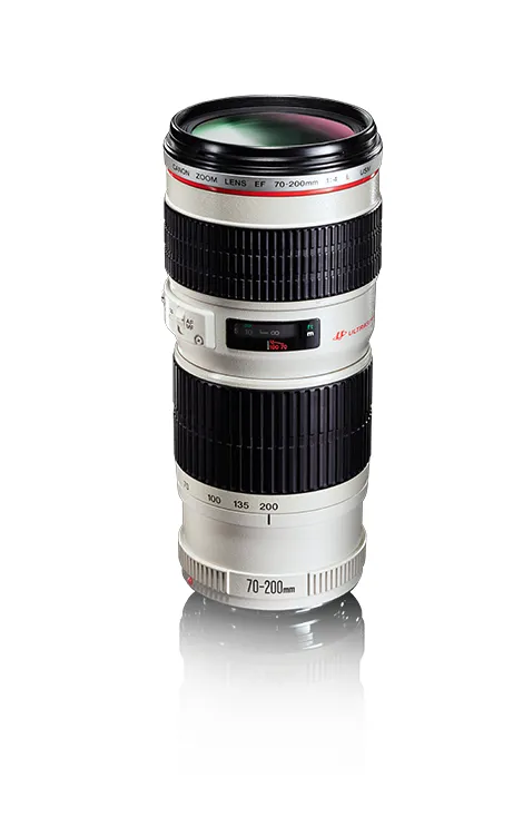 Canon EF 70-200 mm f/4L USM