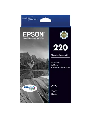 Epson C13T293192 ink cartridge