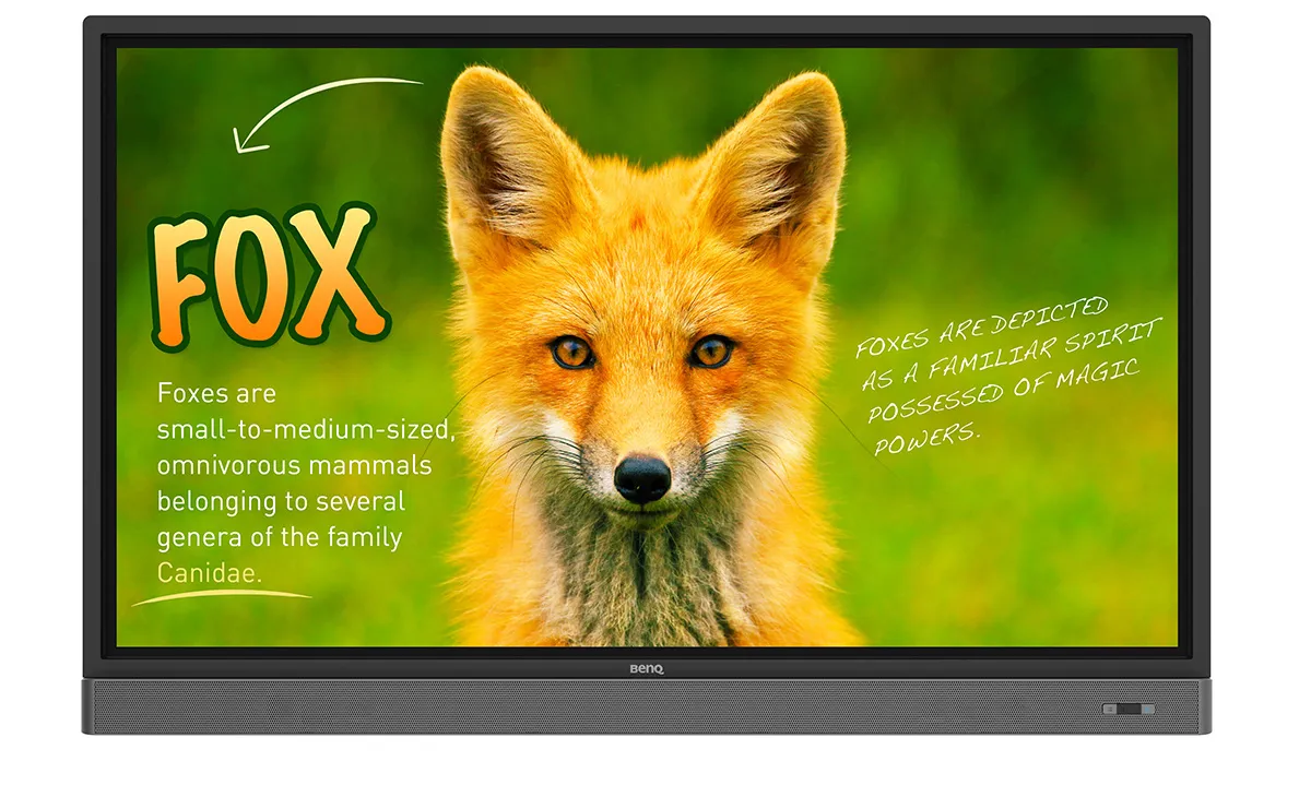 BenQ Rp653k