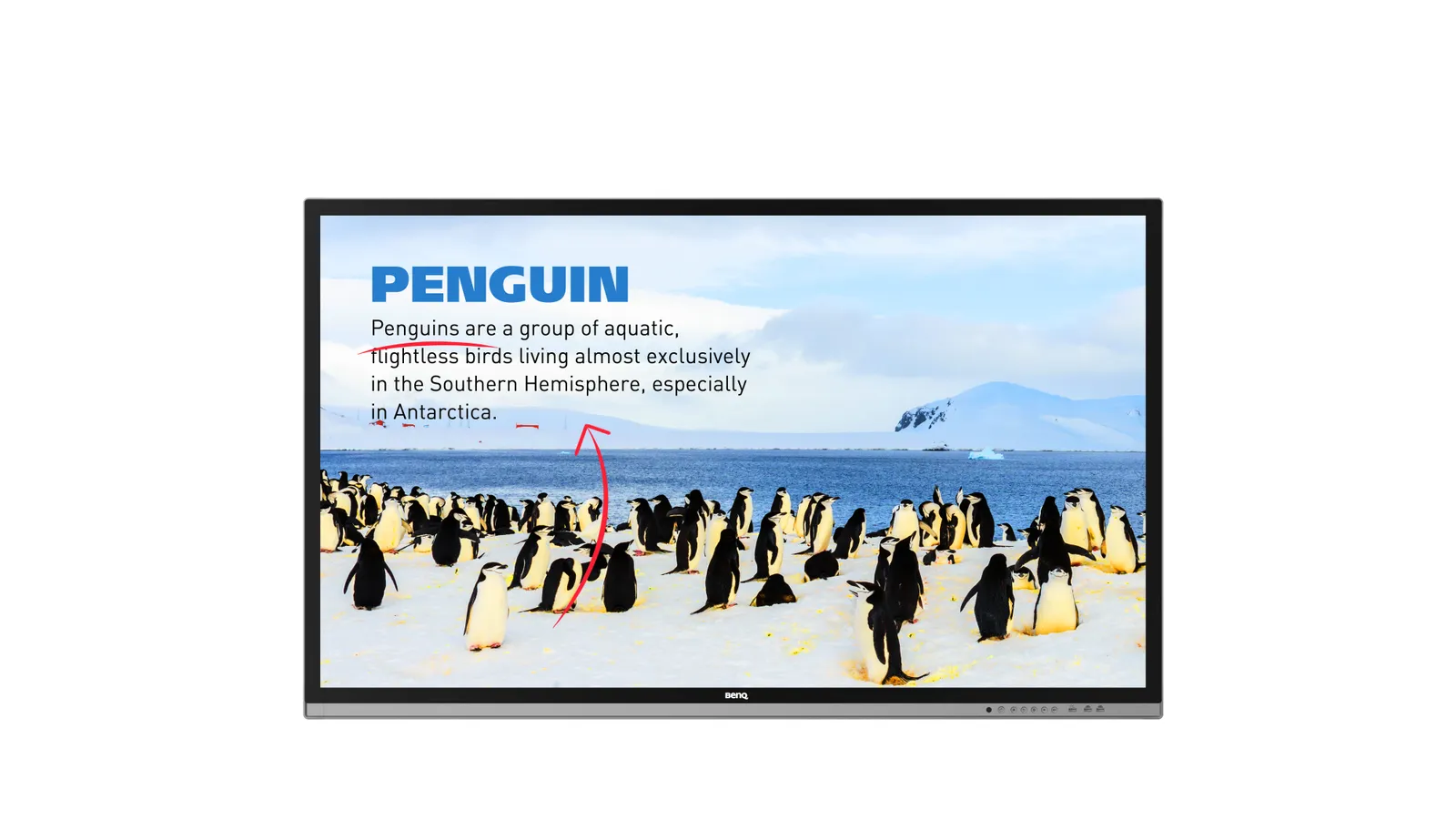 BenQ RP552H interactive whiteboard