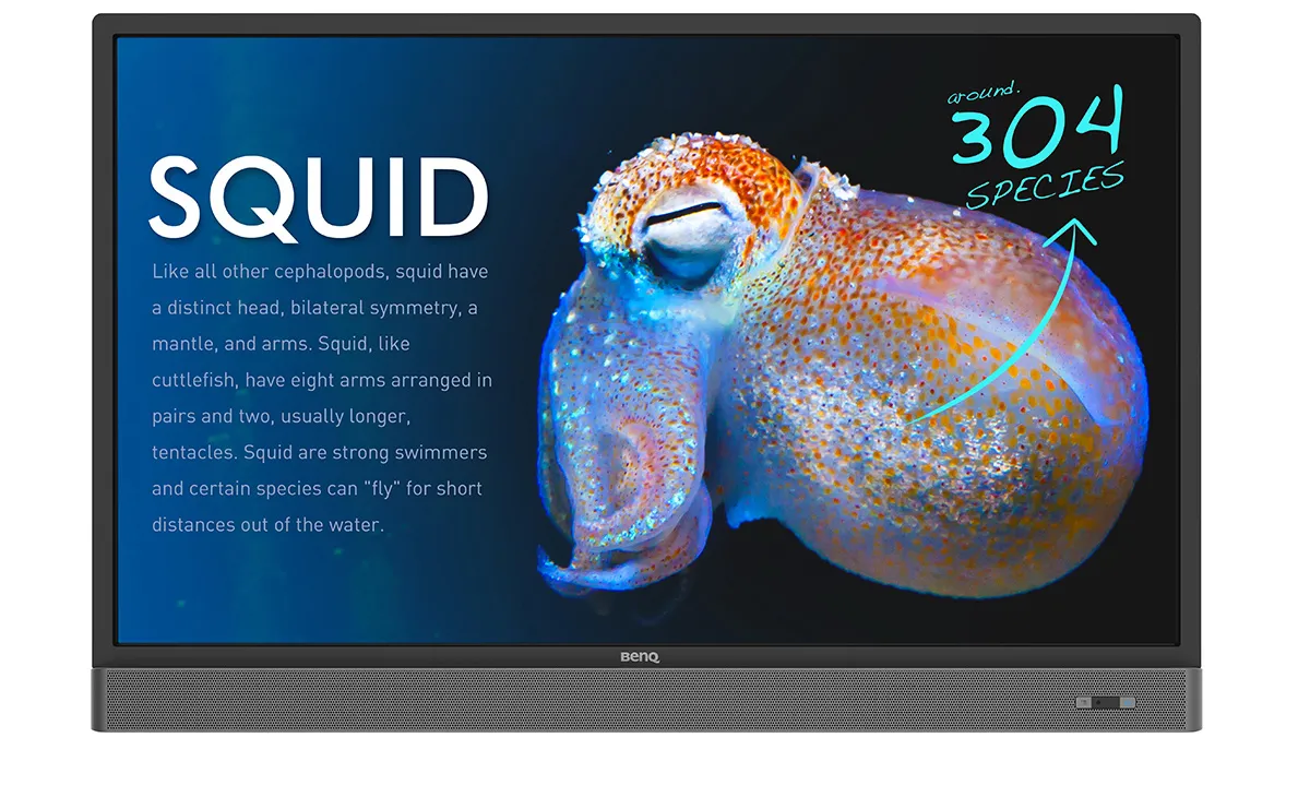 BenQ RP553K