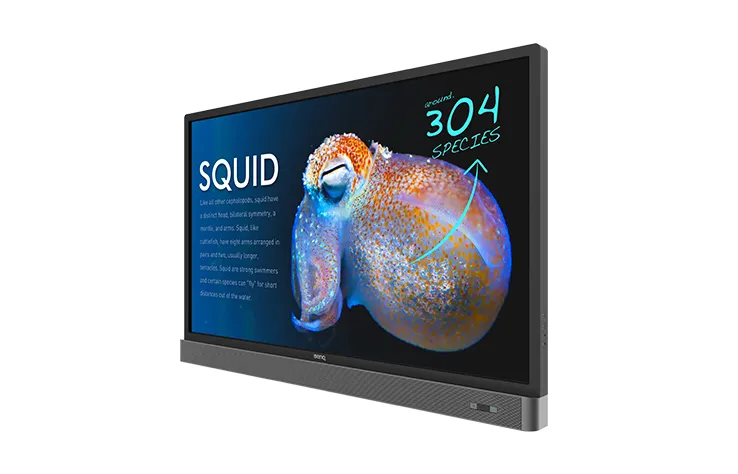BenQ RP553K – slika 3