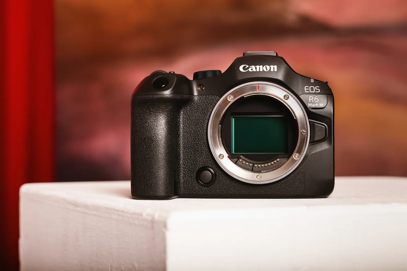 Canon EOS R6 Mark III + RF 24-105mm F4-7.1 IS STM – slika 10