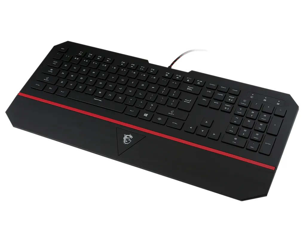 MSI Interceptor DS4100 + DS100 keyboard