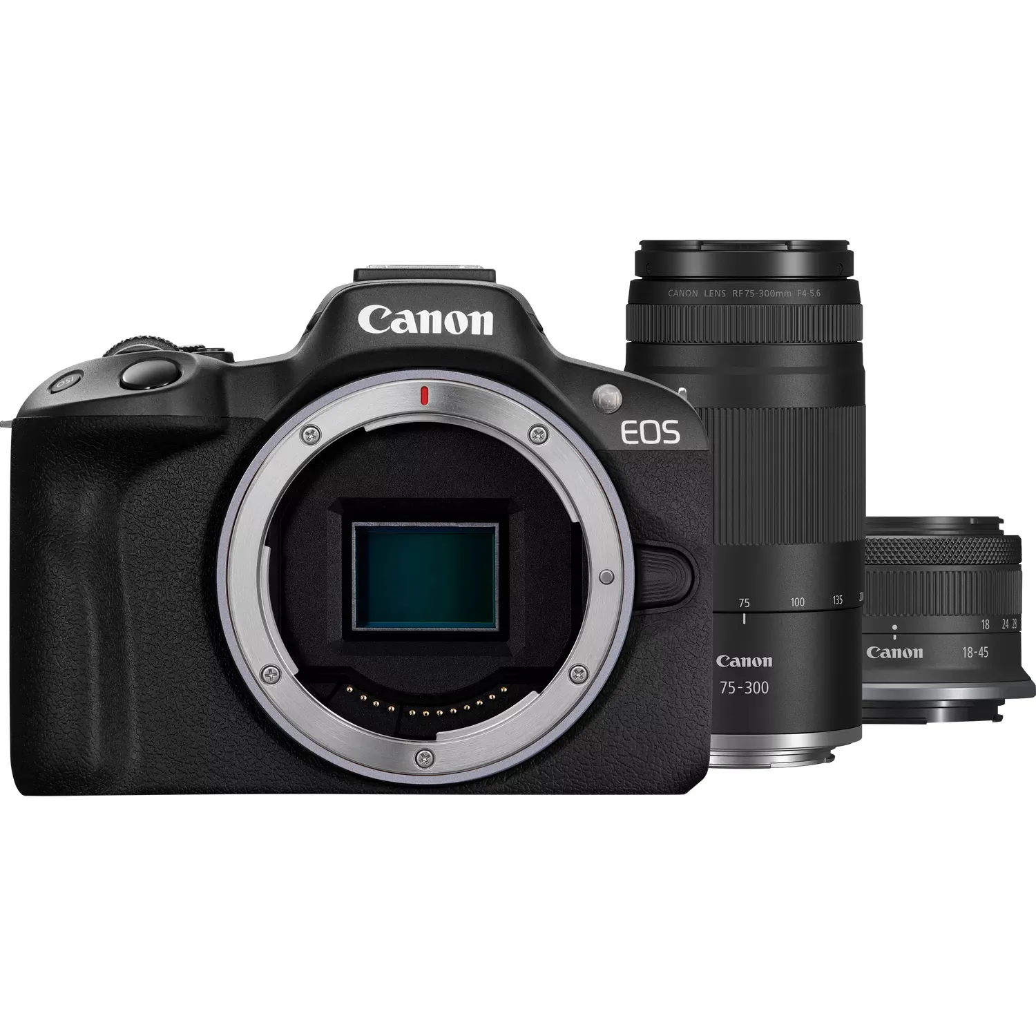 Canon EOS R50