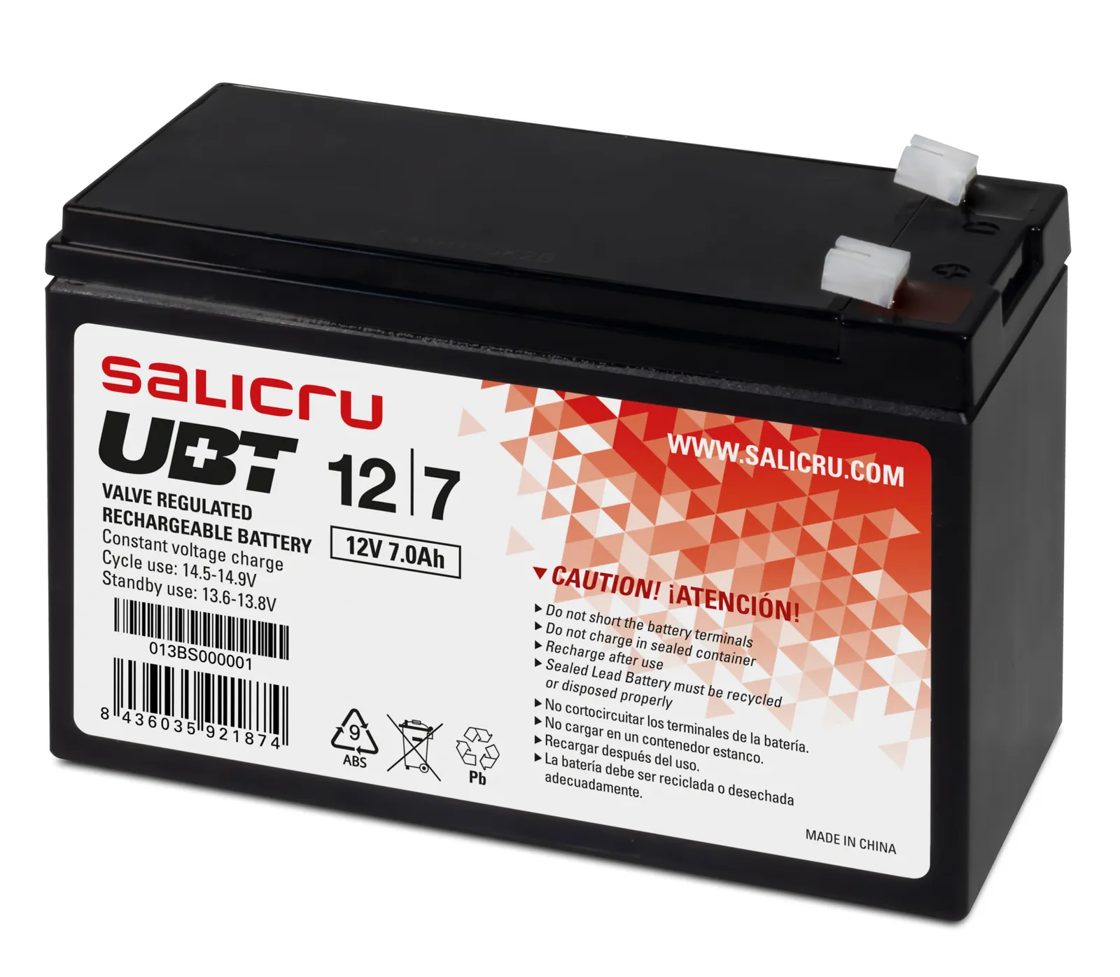 Salicru 013BS000001 UPS battery